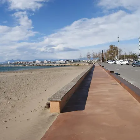 Agi Sant Antoni