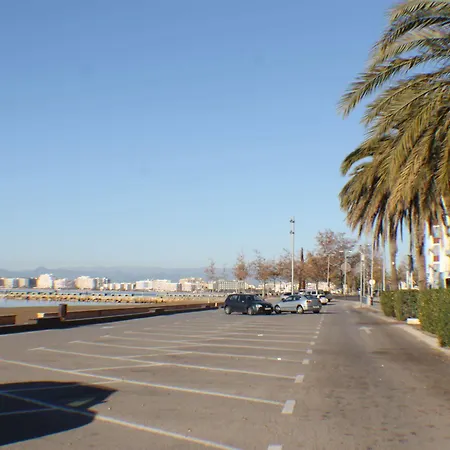 Agi Sant Antoni